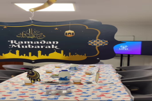 Gönüllü Buluşması