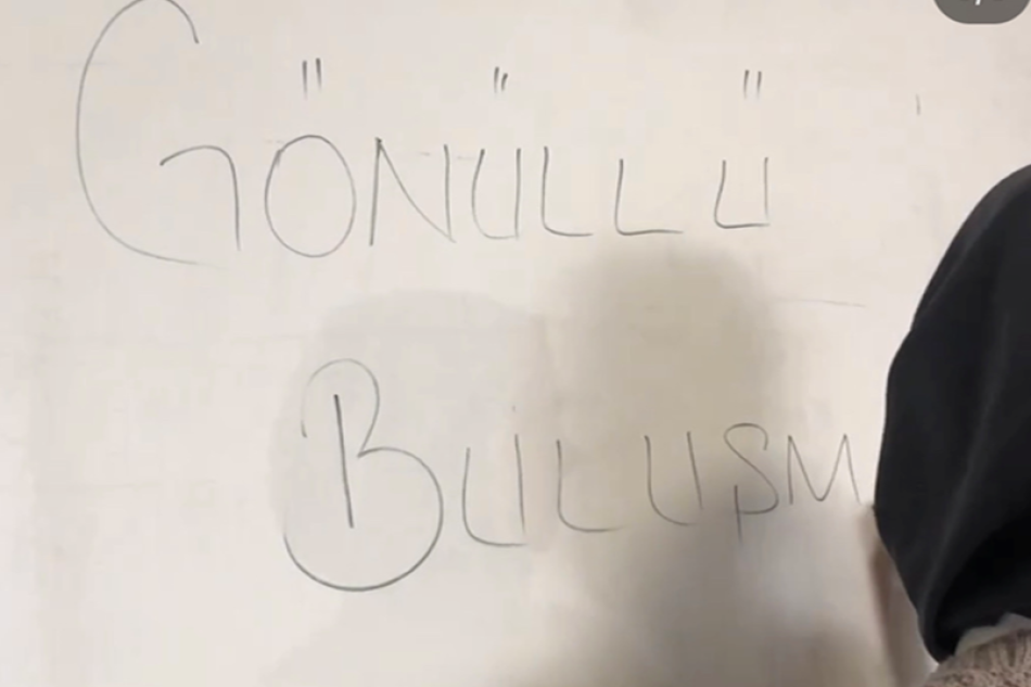 Gönüllü Buluşması